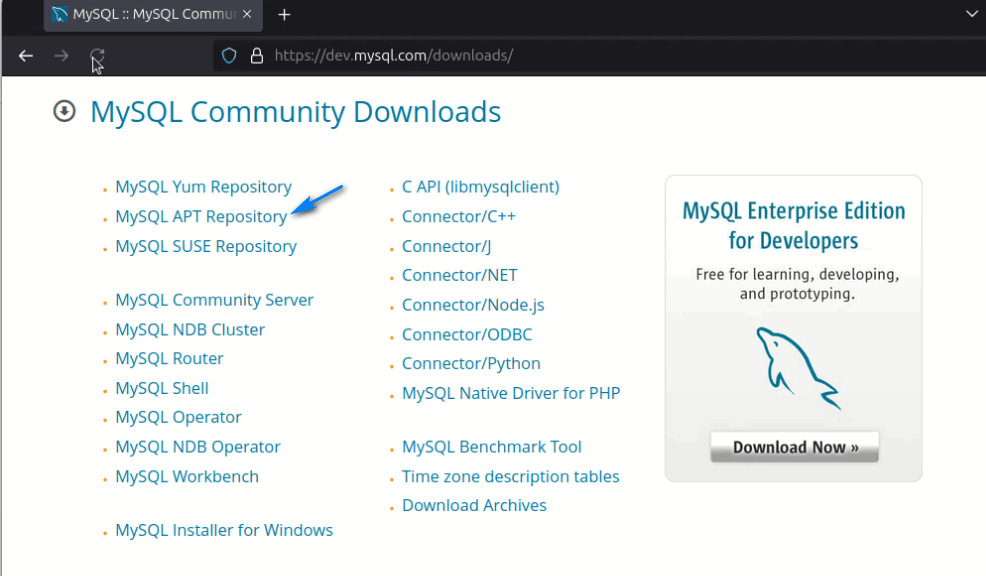 Terminal Way MySQL Config File