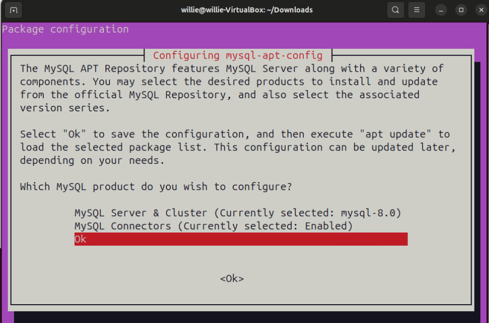 Terminal Way MySQL Config File Install Option