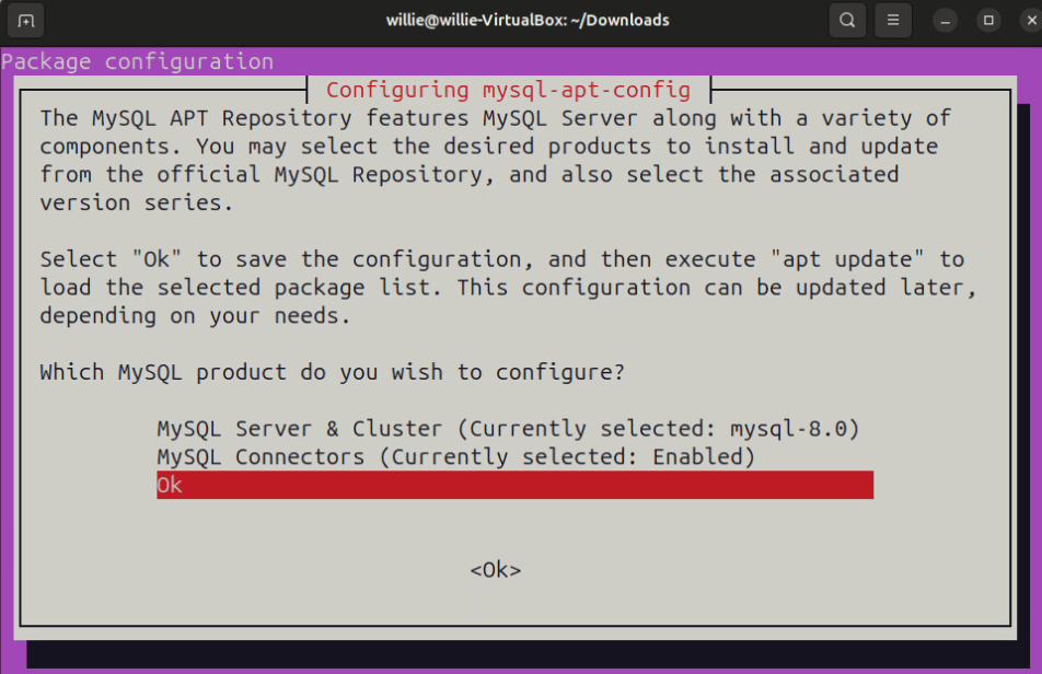 Terminal Way MySQL Config File Install Option2